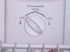 Freezer Thermostat