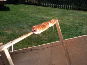 solar_hot_dog_cooker_5_closeup