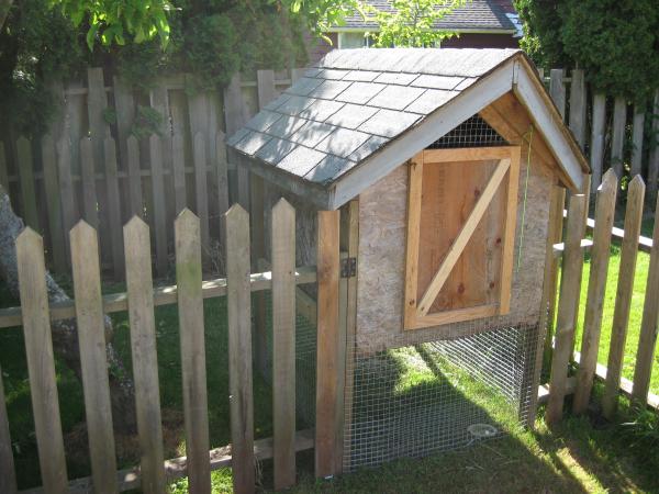 chickencoop1
